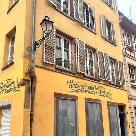 Appartement In Centre Straatsburg